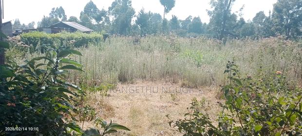 50 X 100 Plot at Waguthū, Kiambu - thumbnail 7