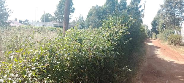 50 X 100 Plot at Waguthū, Kiambu - thumbnail 8