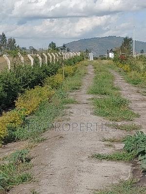 1/8th Acre Plots With Ready Title Deeds Near Tarmac in Kathome - thumbnail 2