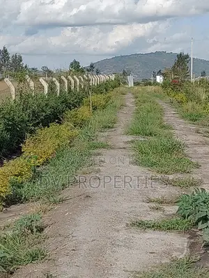 1/8th Acre Plots With Ready Title Deeds Near Tarmac in Kathome