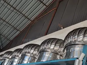 Wind Driven Roof Cyclones