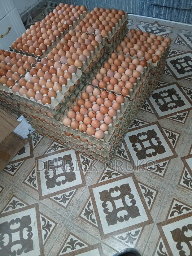 Yellow Yolk Eggs - main view