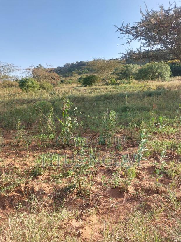 Lands Advert - thumbnail 2