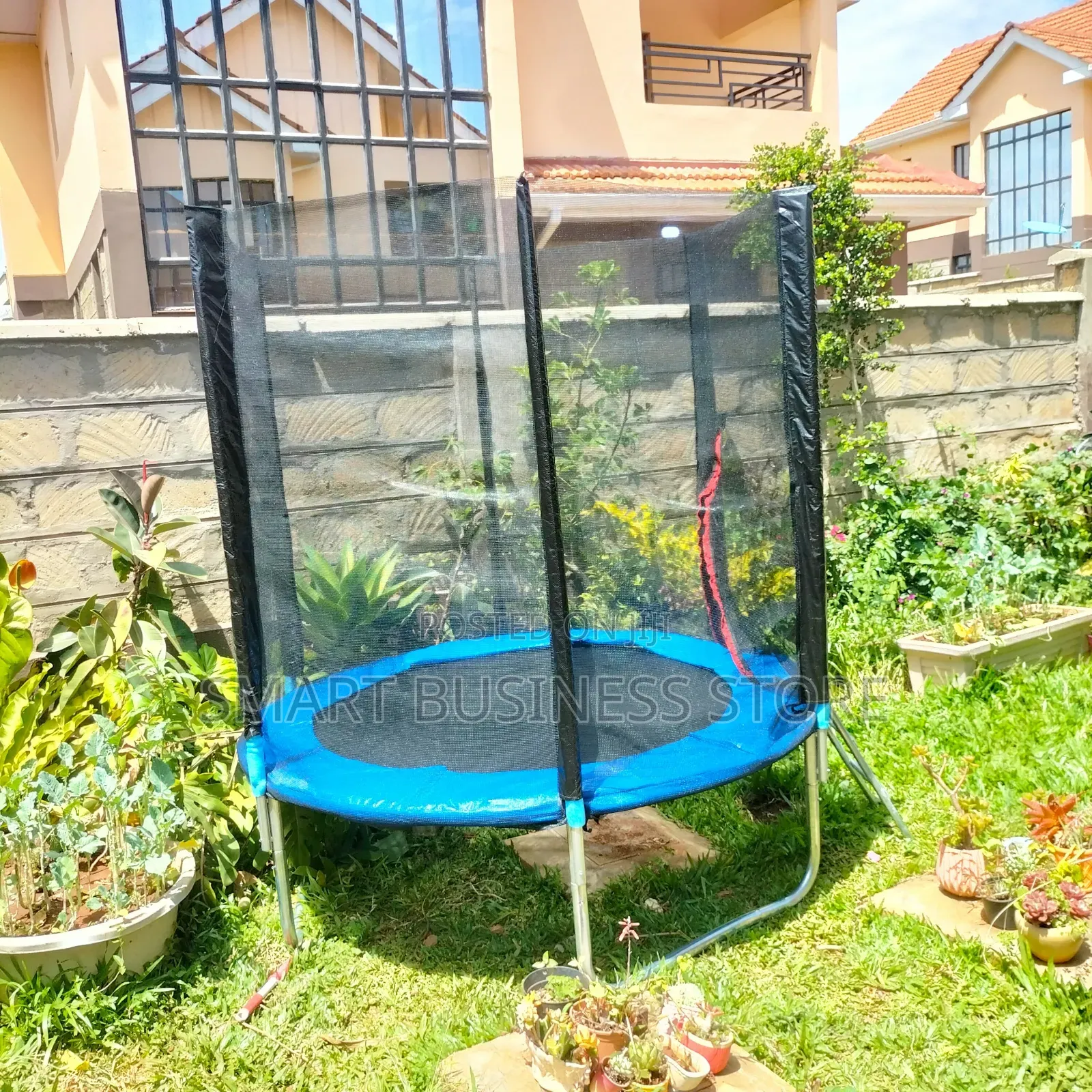 Exercise Trampoline