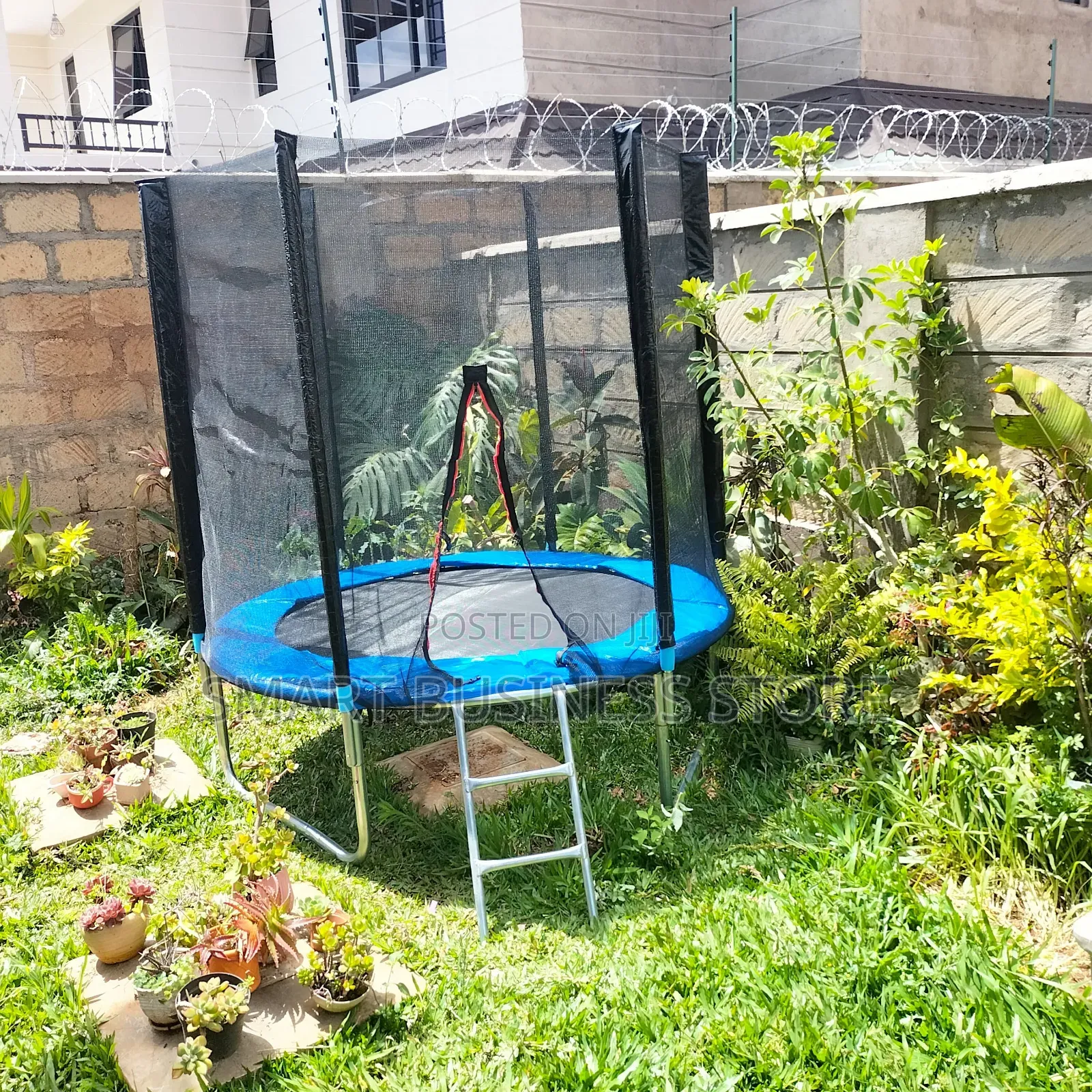 Exercise Trampoline