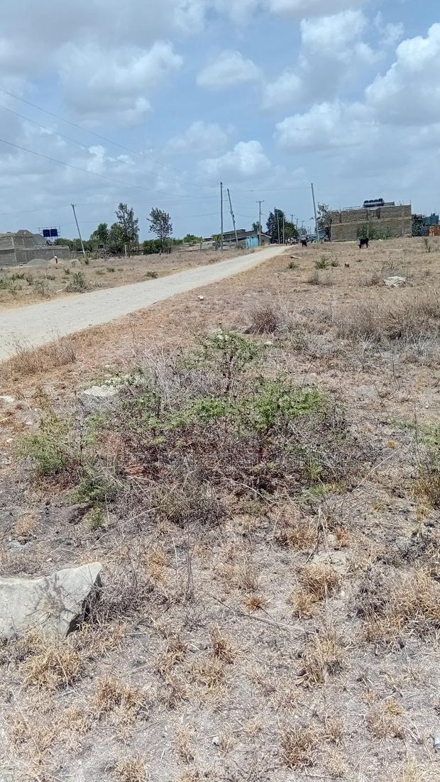 Kantafu Plot 50by100 - main view