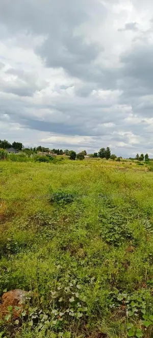 Multipurpose 5 Acres Land, Behind Wanguru Stadium, 300m From Tarmac