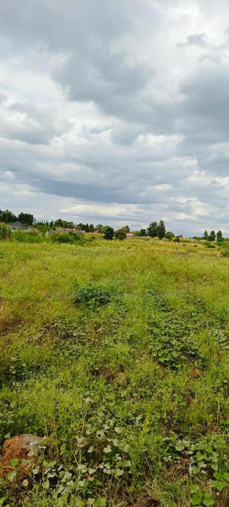 Multipurpose 5 Acres Land, Behind Wanguru Stadium, 300m From Tarmac