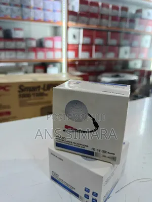 Audio Surveillance Microphone