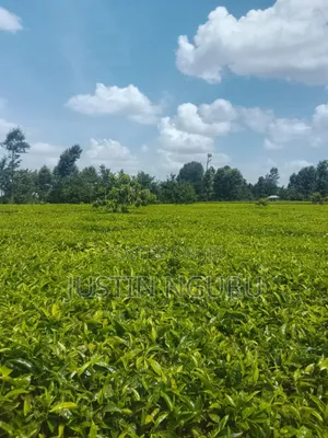 Sale Of2 Acre in Embu