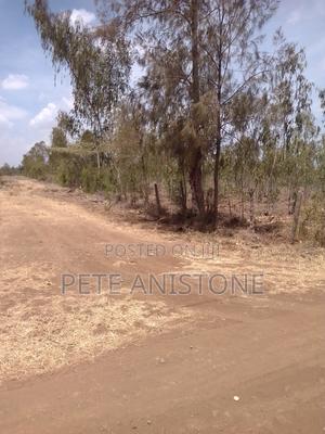 5 Acre Plot for Sale, Thika East, Kiambu - thumbnail 2