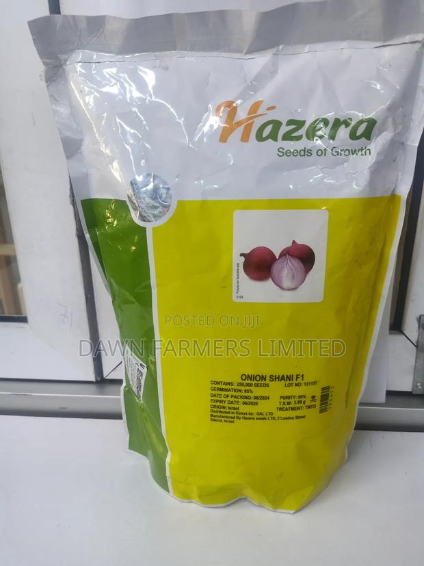 Onion Shani F1 250000