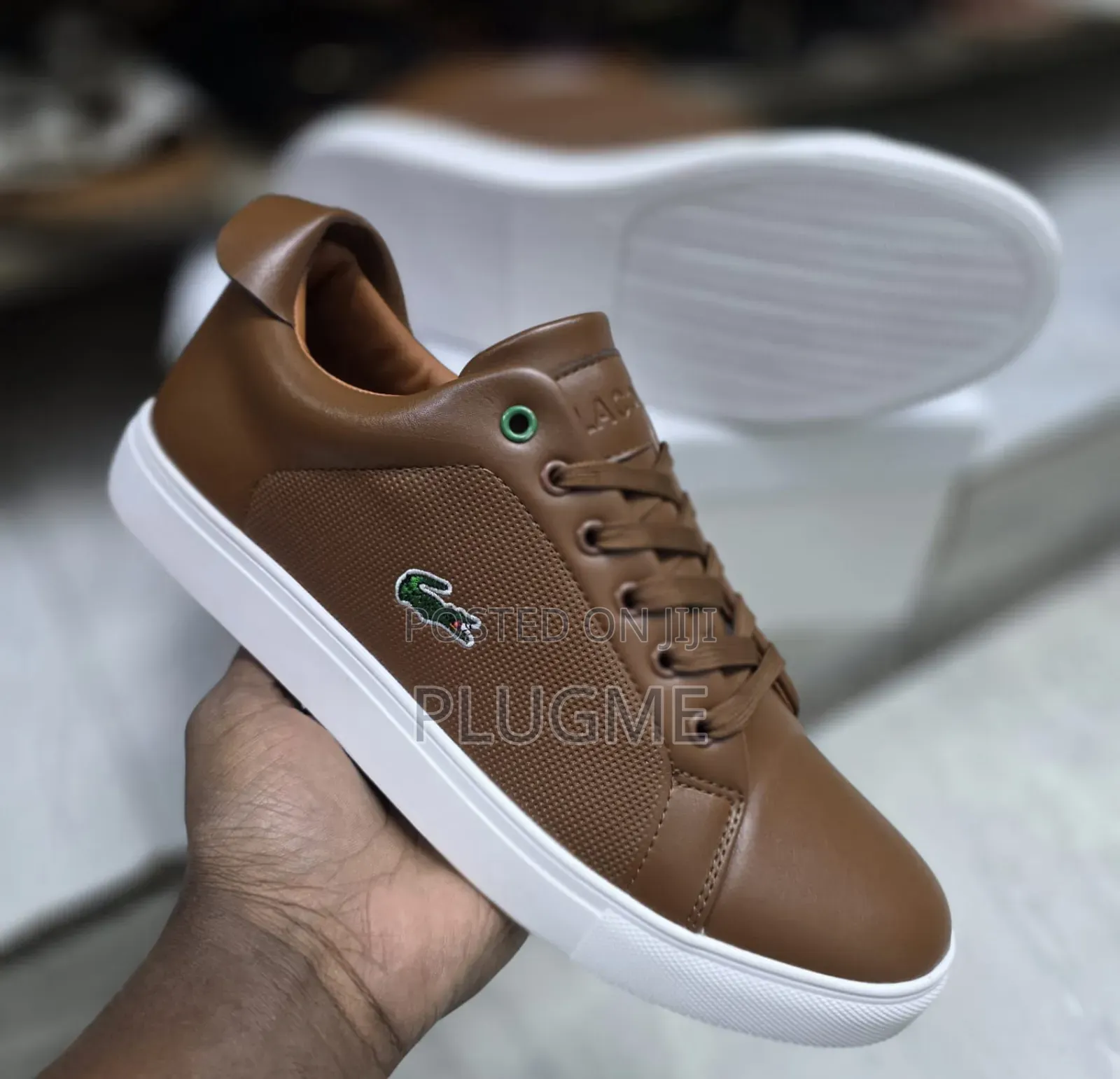 Lacoste Casual Shoes All Sizes and Colors