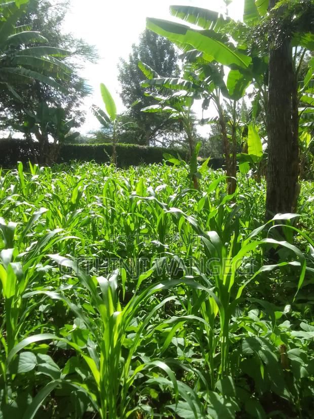 1 Acre Land for Sale in Ngong