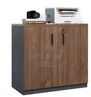 Office Cabinet; Minimalist Two-Door Wooden Storage Cabinet