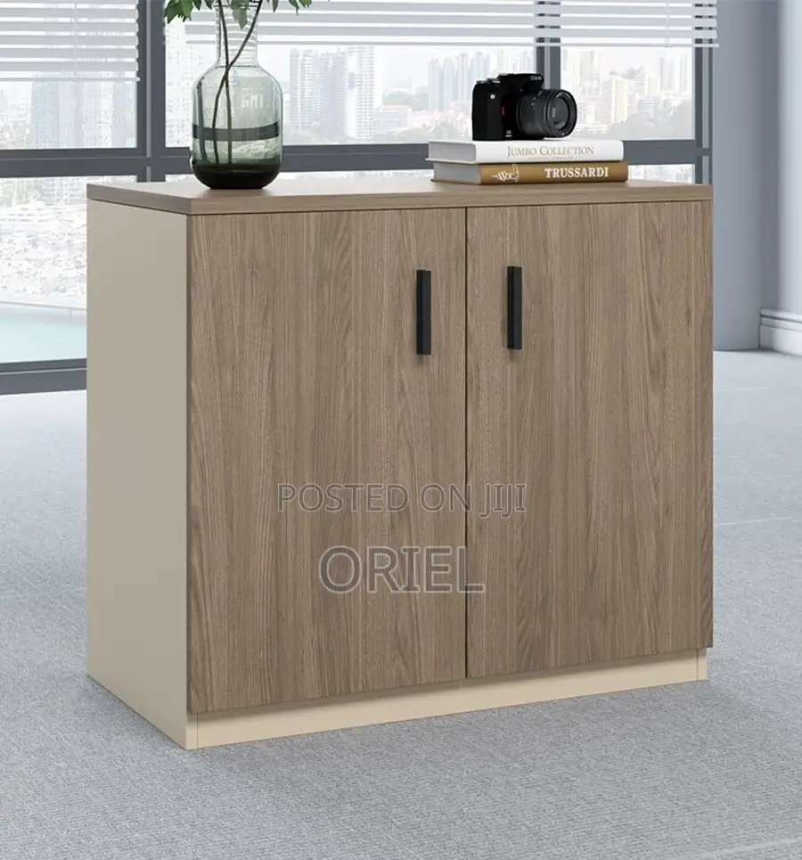 Office Cabinet; Minimalist Two-Door Wooden Storage Cabinet