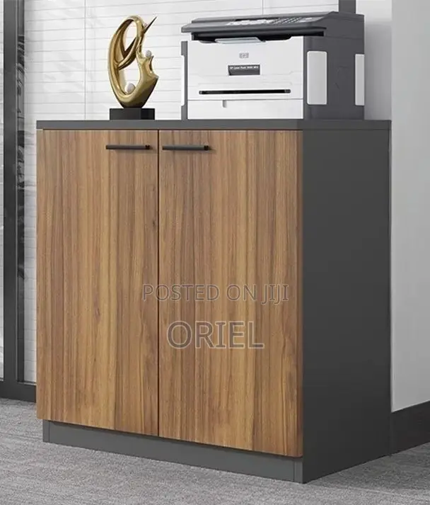 Office Cabinet; Minimalist Two-Door Wooden Storage Cabinet