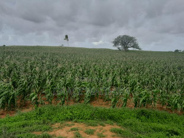Malindi Ramah Courts - main view