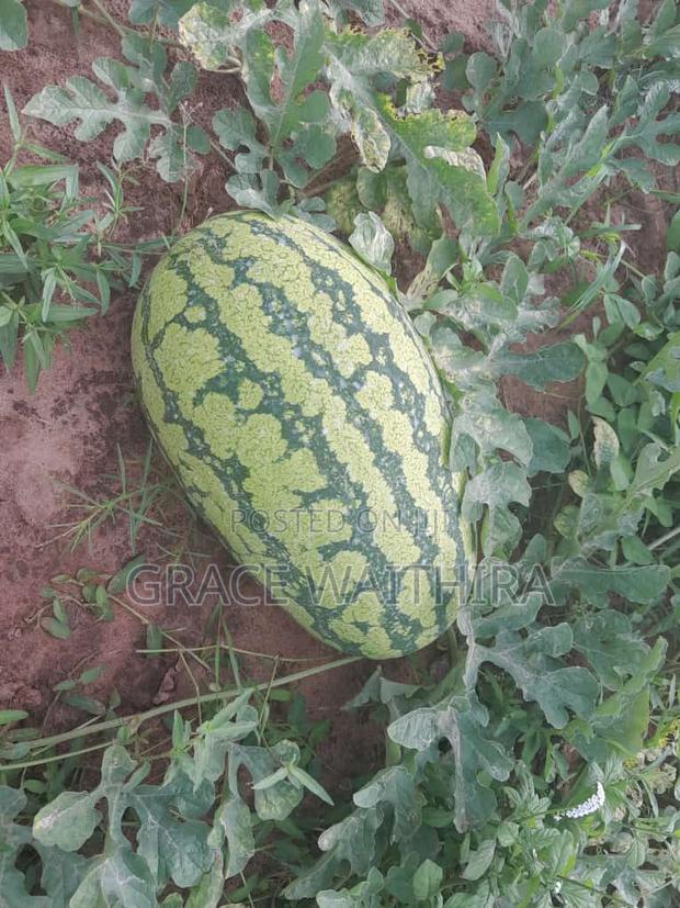 Malindi Ramah Courts - thumbnail 2