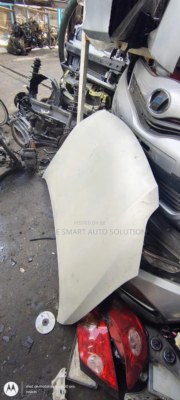 Axio/Fielder 2010 Bonnet