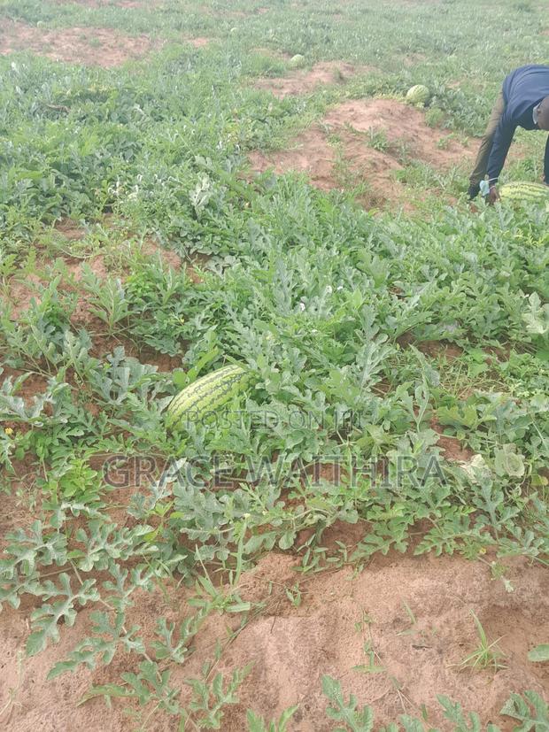 Malindi Ramah Courts - thumbnail 4