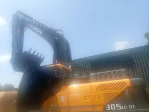 30t Hyundai Excavator