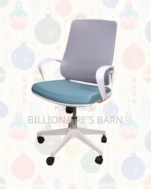 White Ergonomic Work Chair — Stable Base, Lumbar Support Built-In