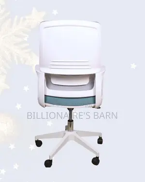 White Ergonomic Work Chair — Stable Base, Lumbar Support Built-In