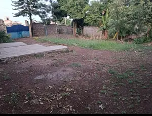 Prime Plot 100*100