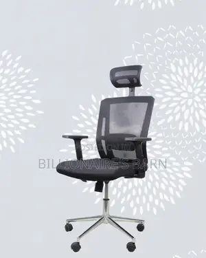 Ergonomic Mesh Task Chair • Neat Professional Look.