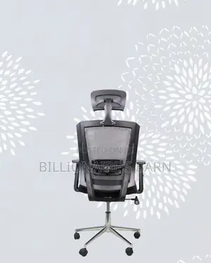Ergonomic Mesh Task Chair • Neat Professional Look.