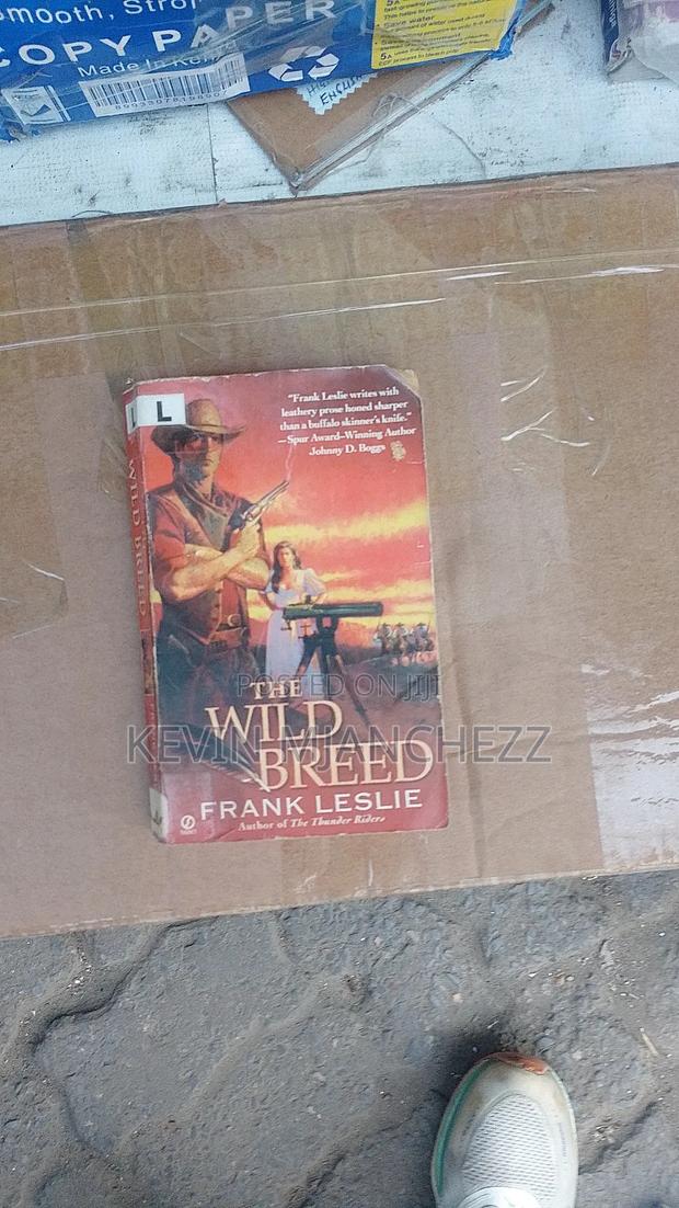 Romance Noves - thumbnail 14