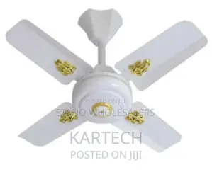 Whited Mountable -Smart Pro 24inches Ceiling Fan