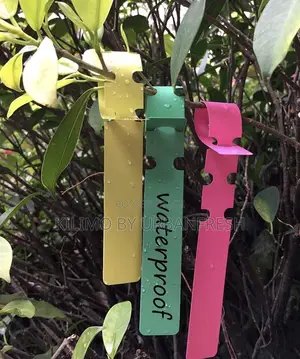 Plastic Plants Tags: Heart-Shaped, Hanging ,