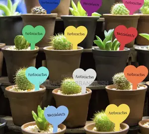Plastic Plants Tags: Heart-Shaped, Hanging ,