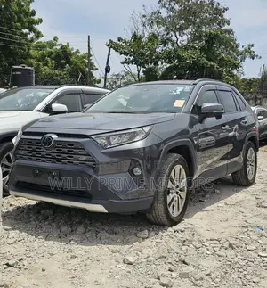 Toyota RAV4 2019 Gray