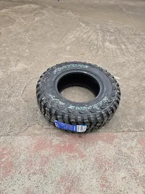 Lt 30x9.50r15 Fortune Tyres (Mud Terrrain)