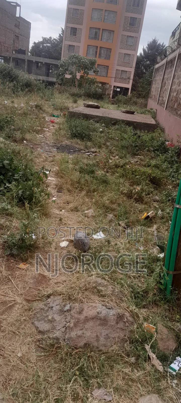 Commercial Plot