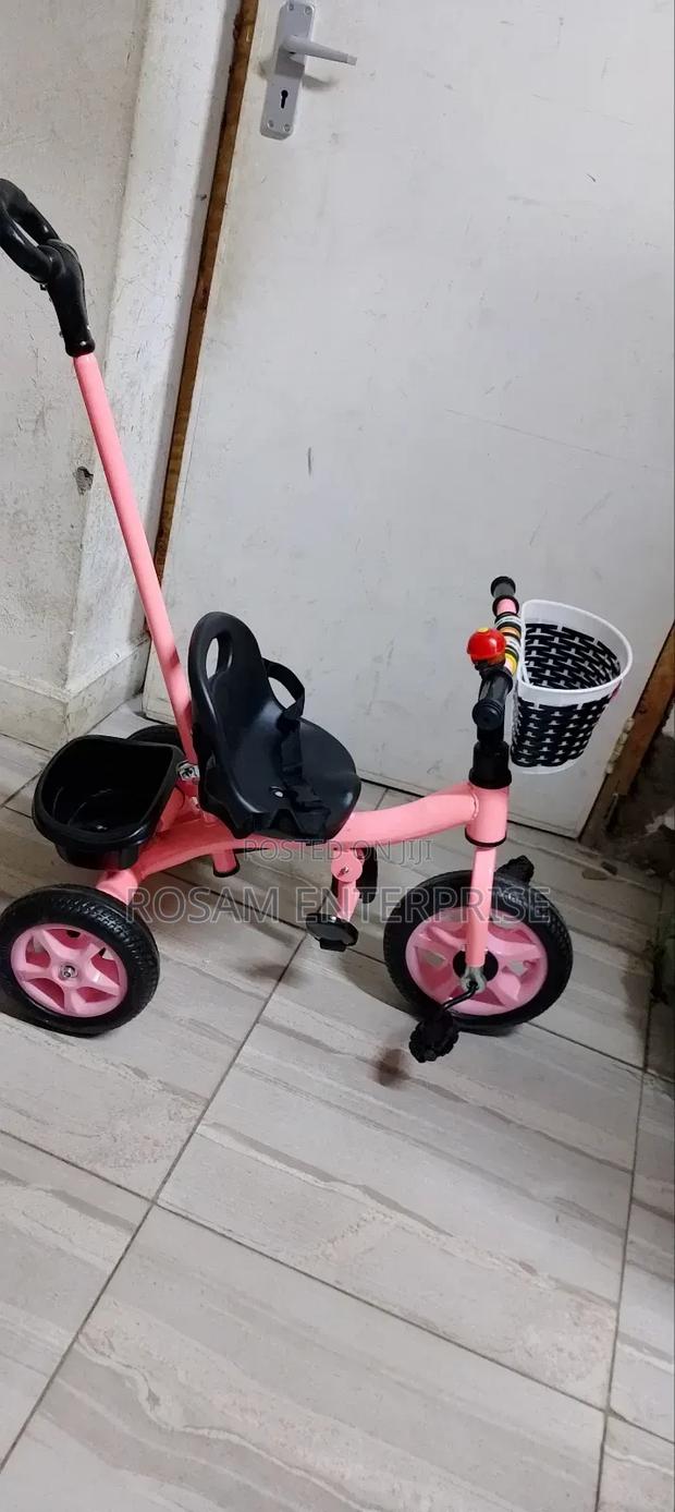Tricycle With Push Handle - main view
