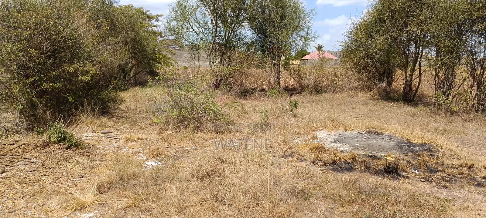 Prime Plots for Sale
