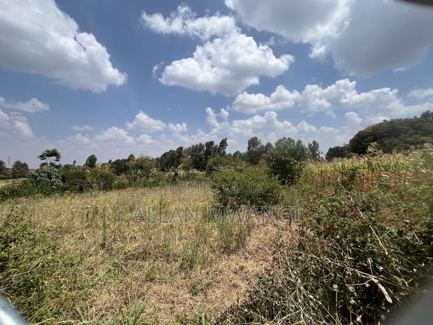 Prime Land in Banana - thumbnail 3