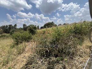 Prime Land in Banana - thumbnail 2