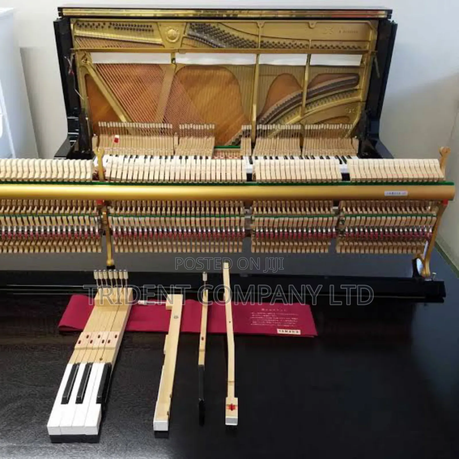 Professional Piano Tuner