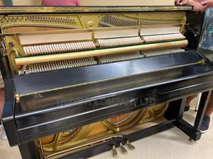 Professional Piano Tuner