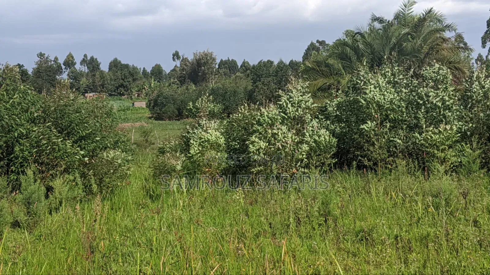 One Acre Land for Sell in Amuka Center Transzoia Kitale