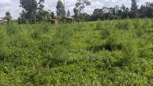 One Acre Land for Sell in Amuka Center Transzoia Kitale