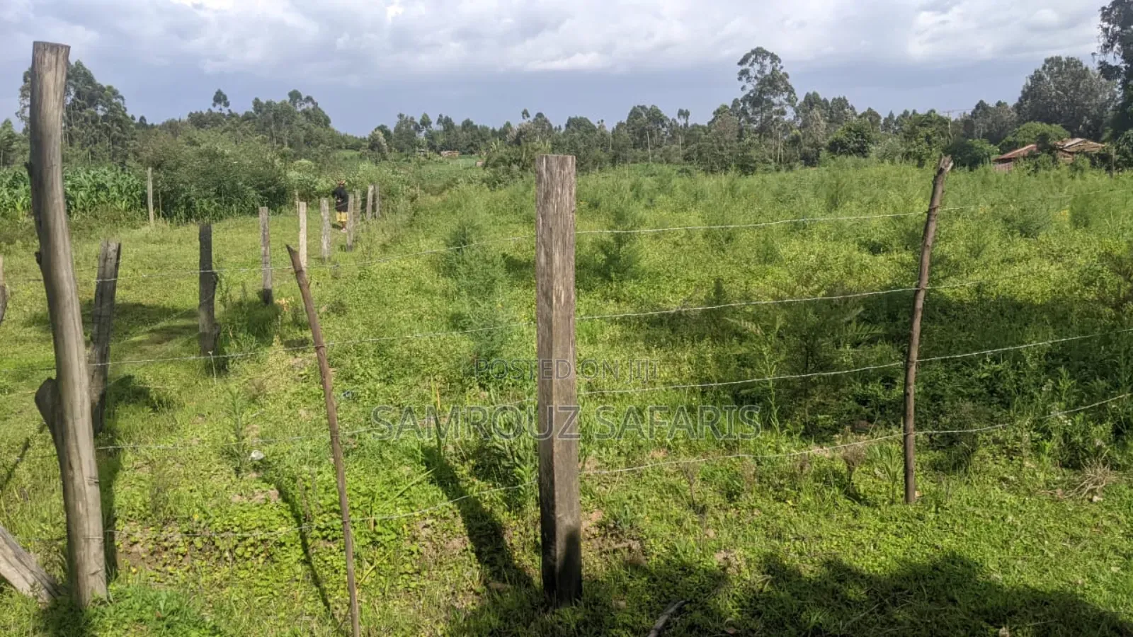 One Acre Land for Sell in Amuka Center Transzoia Kitale