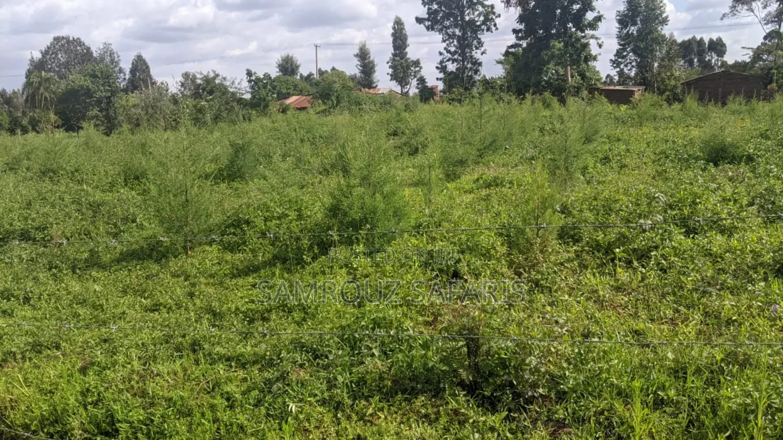 One Acre Land for Sell in Amuka Center Transzoia Kitale