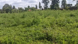 One Acre Land for Sell in Amuka Center Transzoia Kitale
