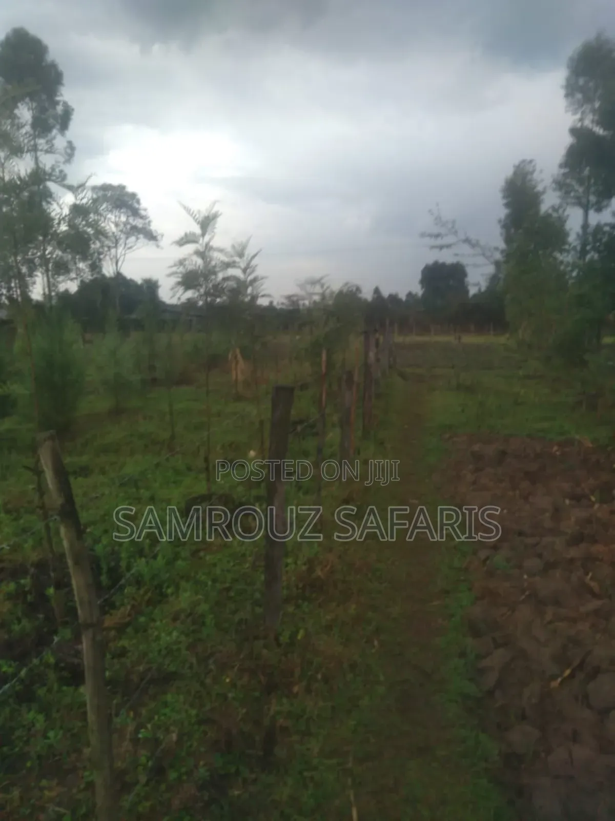 One Acre Land for Sell in Amuka Center Transzoia Kitale